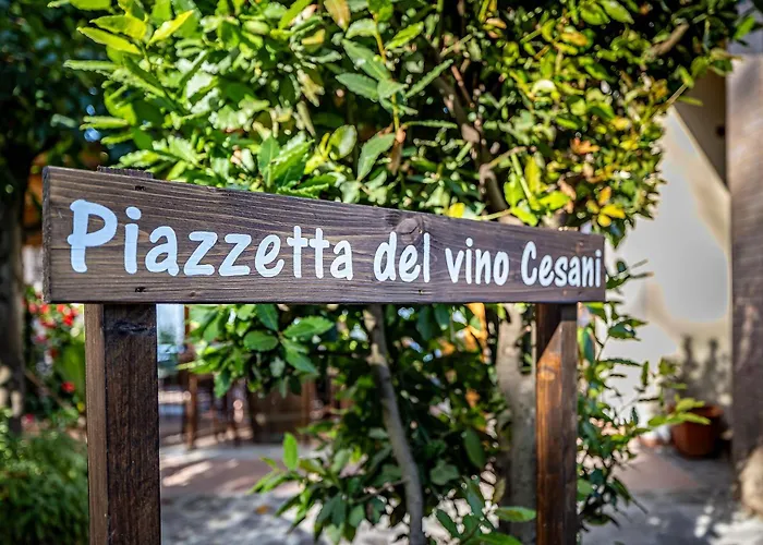Agriturismo Cesani San Gimignano